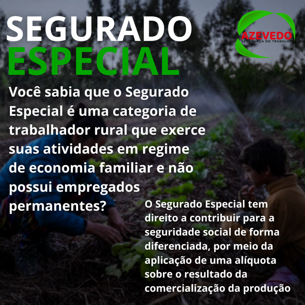 Segurado Especial